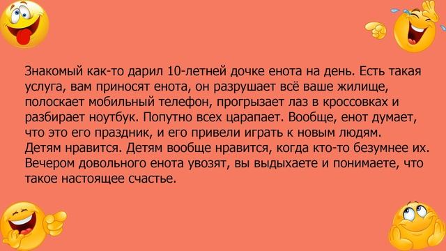Анекдот про безумного енота смотреть онлайн