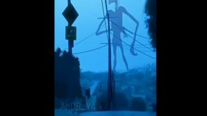 Сиреноголовый танцует