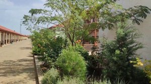 Родная гавань. Прибрежное. 2022