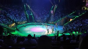 Цирк Страшная сила!