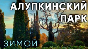 Воронцовский (Алупкинский) парк зимой. Прогулка по Крыму