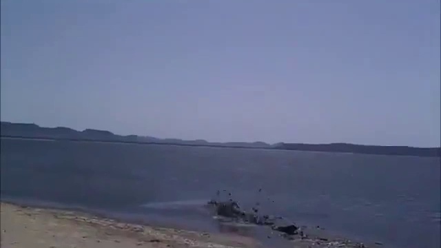 Прикол Кайтсерфинг