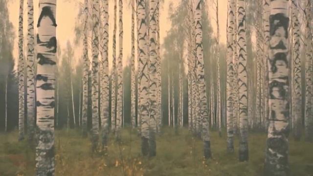 По ночам с кладбища раздавался громкий вой. Малыш-сиротка пошел на вой. Утром вся деревня обомлела смотреть онлайн