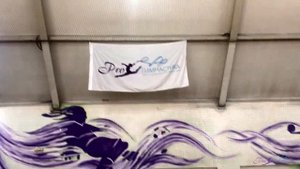 История художественной гимнастики. Про Гимнастика