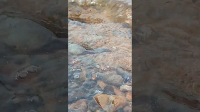 26.05.2023 Вечер Сборник Волна берег река Амур