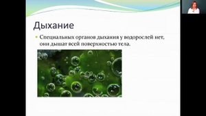 Биология 5 класс 25-26 недели. Царство растений. Водоросли. Общая характеристика и многообразие