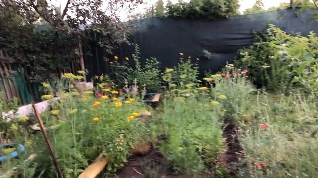 У меня сюрприз а огороде , и открыл купательный сезон смотреть онлайн