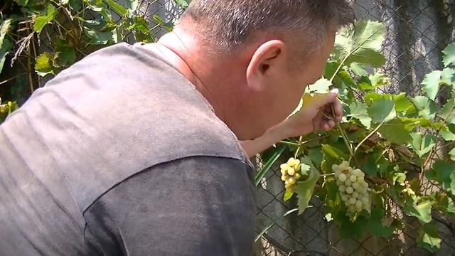 Как установить бетонные бордюры