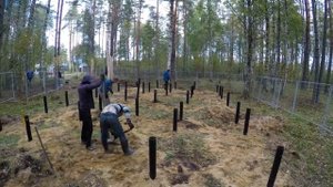 С нуля до въезда в дом. (3/8) Свайно-винтовой фундамент.