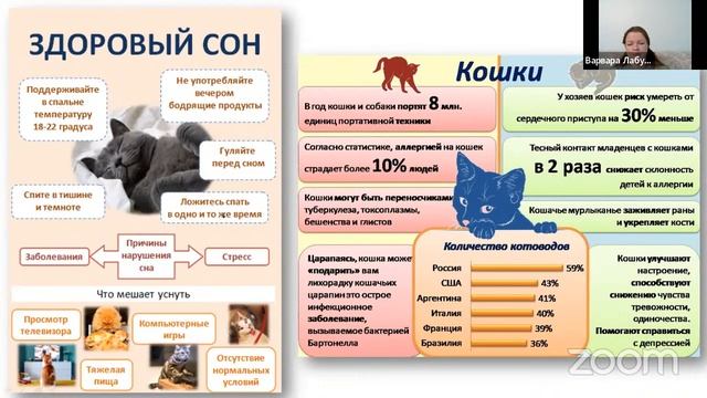 Создание дидактической инфографики