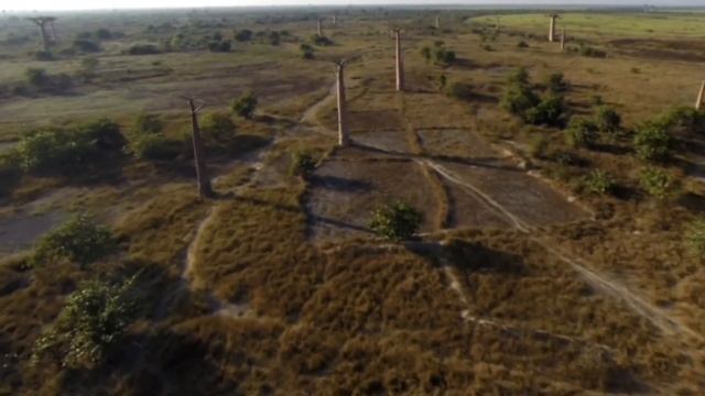 НЕИЗВЕДАННАЯ АФРИКА | Самые необычные места в Африке в рубрике #НеизведанныйМир с Ладой Купцовой смотреть онлайн