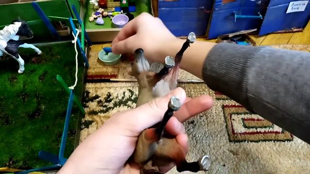 Как правильно чистить копыта лошади смотреть онлайн