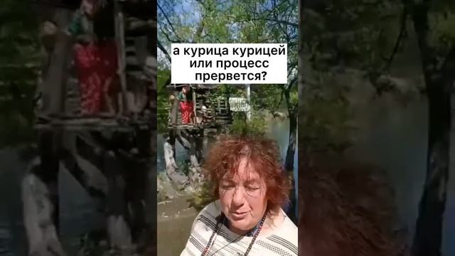 Что было первым? Курица или яйцо?