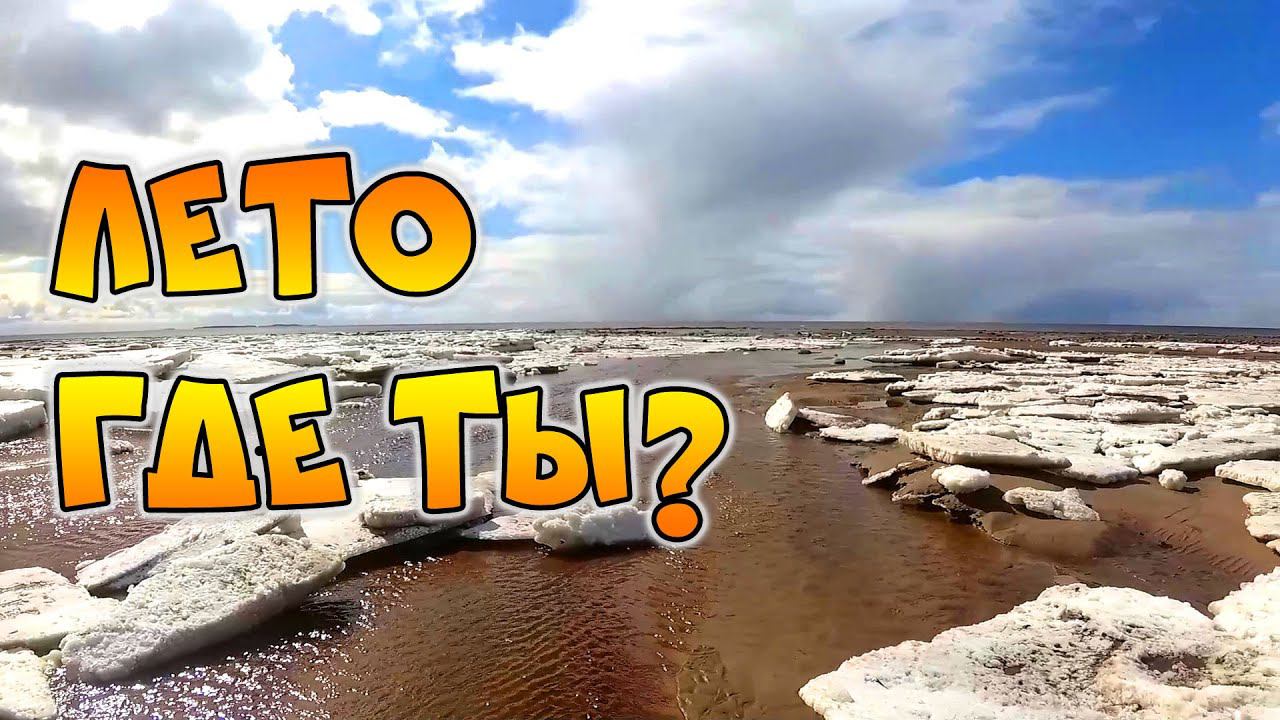 Едем на белое море, искать лето. (ненашли) смотреть онлайн