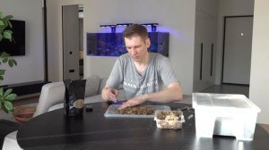 Вабикуса лучший грунт для растений