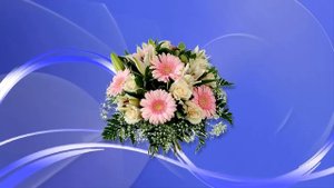 Свадебные футажи