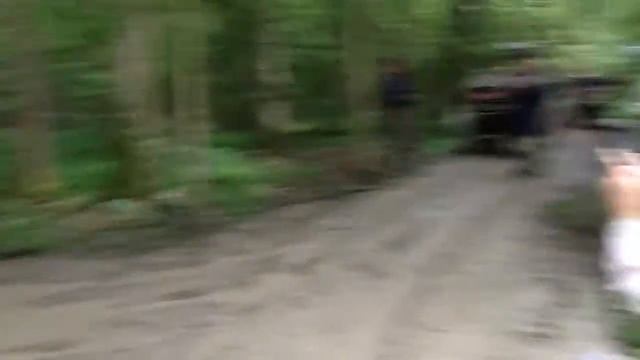 Кот литровый смотреть онлайн