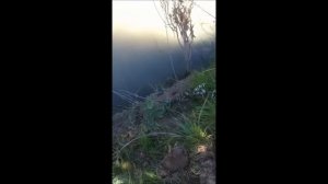 Рыбалка Чу Ивановка в  Кыргызстане, Киргизия