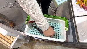 ВЫСТАВКА ПЧЕЛОВОДСТВА. СЕРБИЯ 2023 год. Часть 2