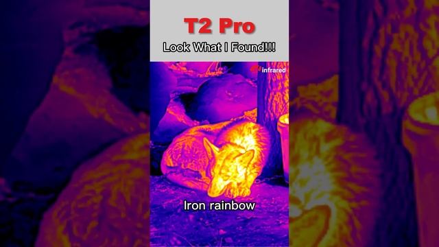 Unleash the Power of Night Vision with InfiRay T2 Pro - The Compact and Versatile Thermal Monocular