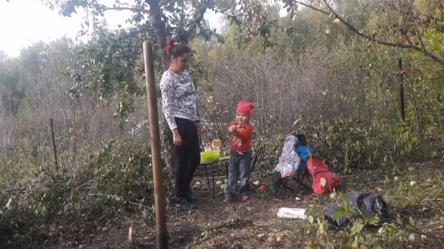 Купили сад заросший вишней и берёзами!!! смотреть онлайн