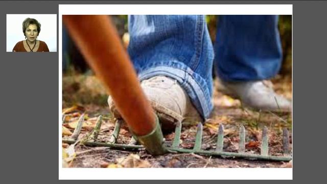 Исполнение желаний / Наталья Волкова 18+ смотреть онлайн