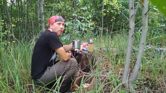 Самые красивые подосиновики в моей жизни 25.07.19г. Липецкая обл. смотреть онлайн
