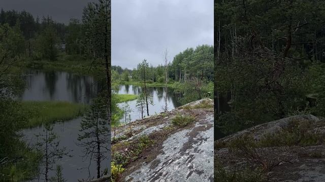 Поход к Беломорским Петроглифам. Карелия.