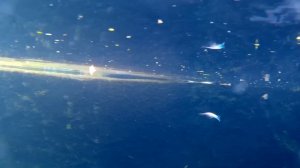 Воблер Pike Hunter