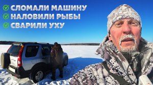 ТРИ Д***А ЭТО СИЛА!!! ЗИМНЯЯ РЫБАЛКА В -36!