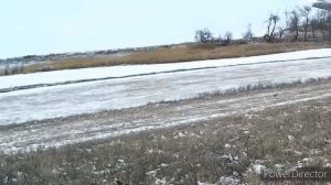 Охота со спаниэлем...#охота #охотавроссии#охотаназайца#охотасоспаниелем