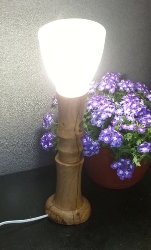 Дуб. Лампа. Настольный светильник