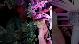 стрелиция Николая. разница за год и 7 месяцев