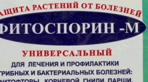Готовим быстрый компост в мешках осенью и весной,а главное,бесплатный и очень вкусный для растений