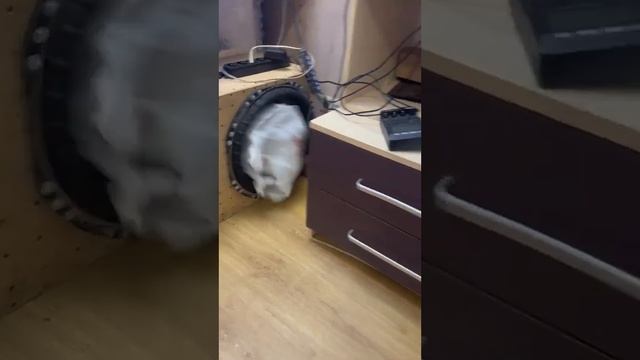 Саб смотреть онлайн