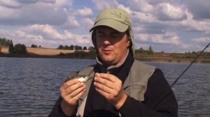 Братья Щербаковы. Приманка Bait Breath Fish Tail