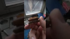 Вся правда о Корпан Сервис .Отзыв клиента из ХМАО