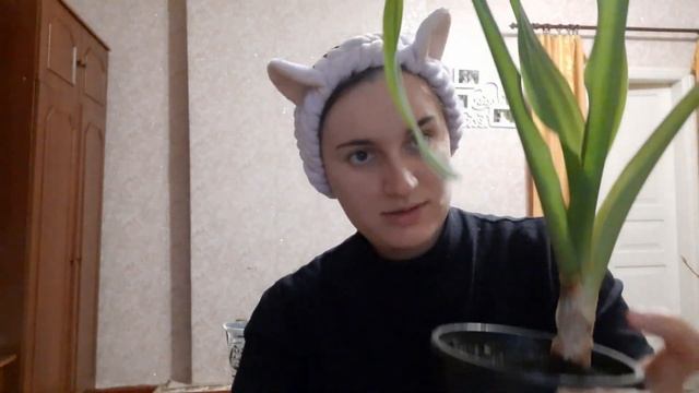 МОЁ НОВОЕ ХОББИ ""КОМНАТНЫЕ РАСТЕНИЯ "" #жизньвселе