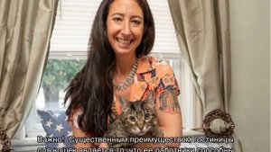 Где оставить кошку на время отпуска: куда можно ее деть