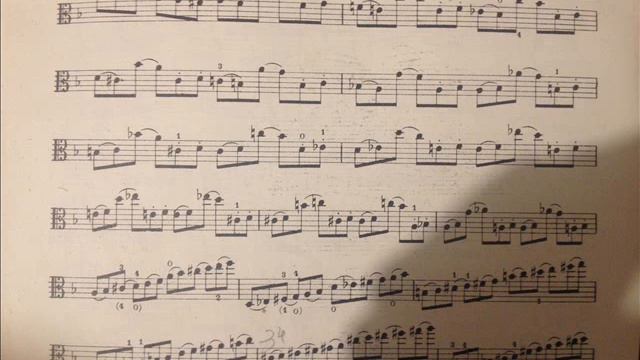 Fiorillo caprice n°10 Alto (Viola) смотреть онлайн