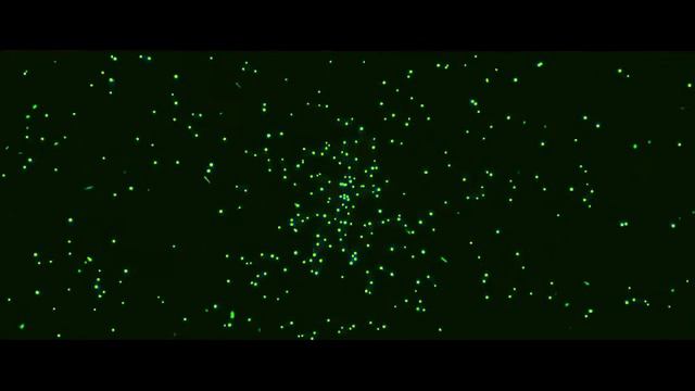 Intro без текста #1 смотреть онлайн