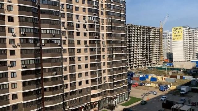 Разведение перепелов |  А почему именно перепелов | МОИ перепела едут на Кубанскую ярмарку