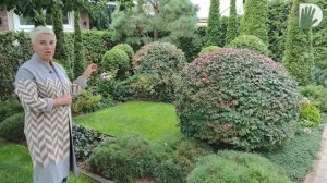 Видео журнал "СОФ №81" Очередной ШЕДЕВР из коллекции Цветущей планеты.