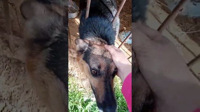 19/09/2021. Знакомство смотреть онлайн