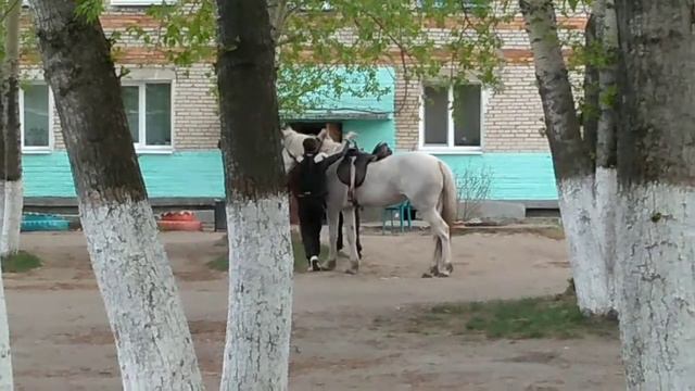 Вдруг откуда ни возьмись! 😀 смотреть онлайн