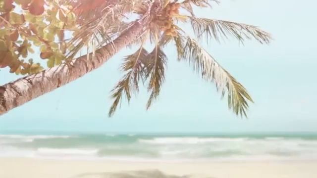 Полет белой птицы - И.Иващенко смотреть онлайн