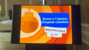 Анонс белка и стрелка озорная семейка карусель редкий (16.07.2015)