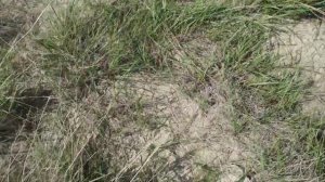 Шихан на заливе Горный Балыклей