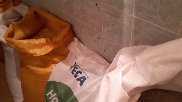 Ящик для хранения//цены на корма//цыплята//о вечернем кормлении птицы... смотреть онлайн