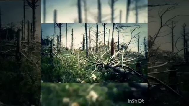 Загрязнение окружающей среды